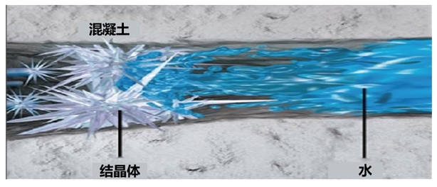 2025010909181736385483770005974.jpg 04.jpg