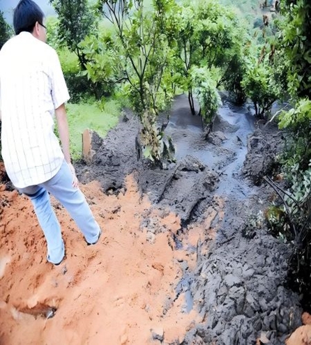 2025010909521736387564660025085.jpg 1.jpg