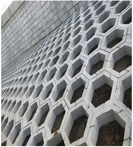 2025010909531736387621200017369.jpg 3.jpg