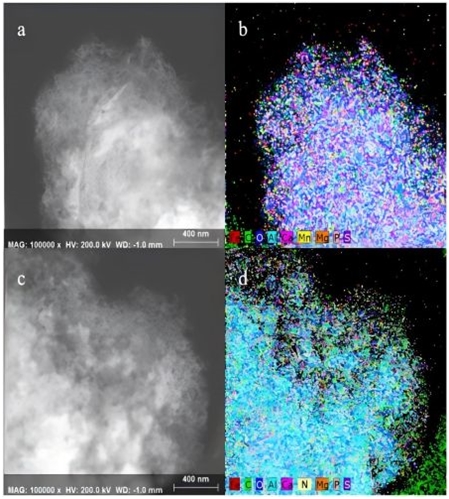 2025010909541736387688857053003.jpg 6.jpg